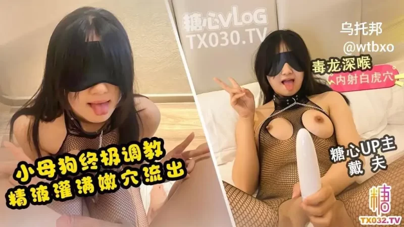 母狗终极调教 精液灌满嫩穴流出-百宝袋