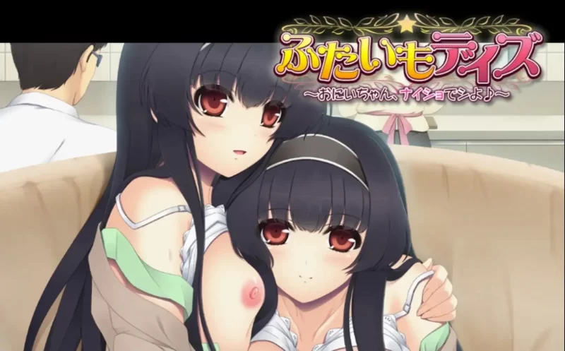【ADV/官中/拔除】义妹双子日子.哥哥偷偷来做吧.v1.0.0【安卓/401M】-百宝袋