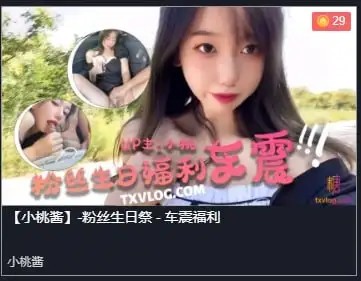粉丝生日祭车震福利-小桃酱_1[320 MB]-百宝袋